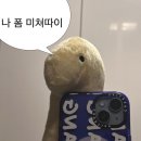 스시준마이