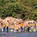 궁항어촌체험휴양마을 이미지