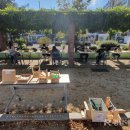 월아산 우드랜드 이미지