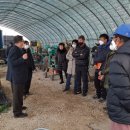 정일품농장 이미지