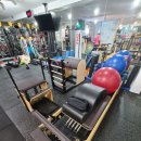 바디엔지니어 이미지