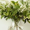 초이스농장 이미지