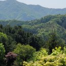 축령산 코지인 이미지