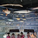 🐡가을소풍-국립해양생물자원관 씨큐리움1탄🐡 이미지