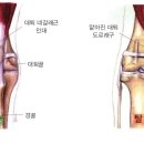 츄츄동물병원 네이버블로그