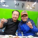 고흥물항 Daum카페