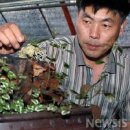 김주화농장 이미지