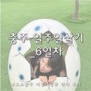 성터7길 8, (문화동) | 충주일주일살기 마지막 날_라바랜드 뺑덕산더미오리 충주씨샵 추천 여행코스