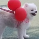 구리광장 티스토리