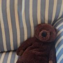 단지내시범반도공인중개사사무소 이미지