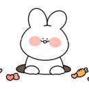 우아족발