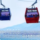 사천충무김밥 이미지