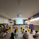 용인대 호랑이 태권도장 이미지