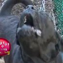 심청농장 이미지