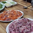 지구 멸망 D-nnnn