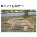 간만에 일상모음~치킨