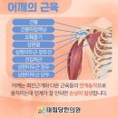 태림당한의원 이미지
