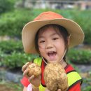 석실로317번길 70 이미지