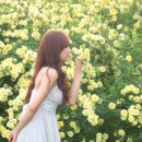 풀냄새꽃향기 이미지