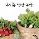엄마농부