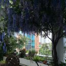 노원노인종합복지관 이미지