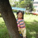 삼부농장 이미지