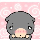 칠공이집 이미지