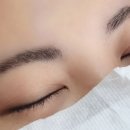 데인티:섬세한