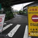 간선-81 이미지