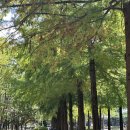 둔산중로134번길 이미지