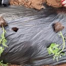 대정요양병원 이미지