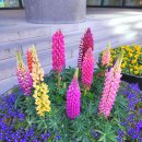 서초조은공인중개사사무소 이미지