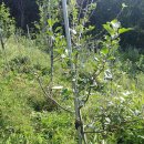 회진농장 이미지