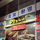 꼬치니 | [내돈내산] 오산 세마역 양꼬치 전문점 양꼬치니 양 막창꼬치 후기