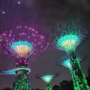 MBS무역 | 싱가포르 야경투어 리버크루즈 포함 예약 한국인 가이드