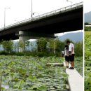 솔뜰캠핑장 이미지