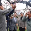 경산둥지과수영농조합법인 네이버블로그
