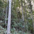 우산리마을회관 이미지