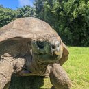 조나단목장 이미지