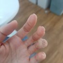 한대앞역 광장(헌혈의 집 앞) | 헌혈의집 11월 기념품 영탁미니앨범 / 안산 헌혈의집 한대앞역센터 후기