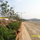 춘장대여기 이미지