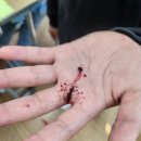 익산가온초등학교 이미지