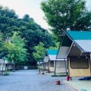 유명산둥지 이미지