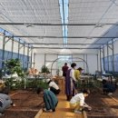 혁신농장 이미지