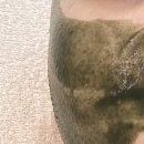 무이모네 | [용암동피부관리] 무이모네 솔직후기! (비포애프터 ㅇ)
