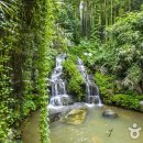 옥빈관 죽녹원 국수거리 본점 이미지