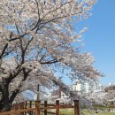 4.19그집 이미지