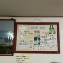 영덕02 | 전현무계획3 충무로 영덕회식당 막회 야장