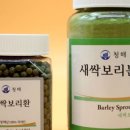 새싹모아