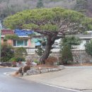 초원한우농장 이미지